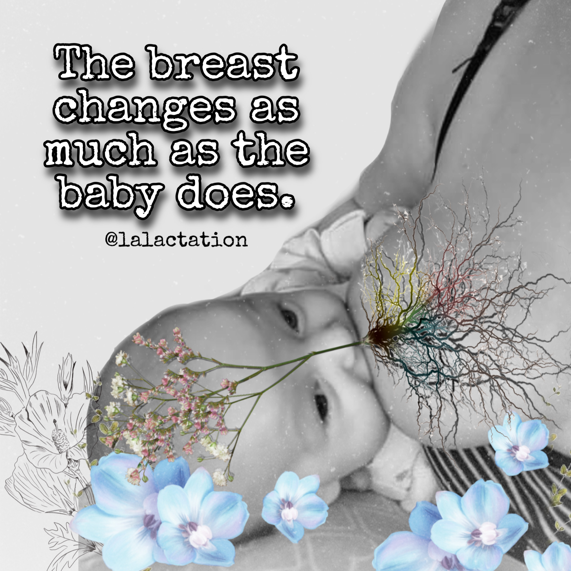 Breastfeeding: Breast Fullness and Engorgement